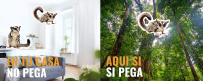 En la naturaleza sí pegan